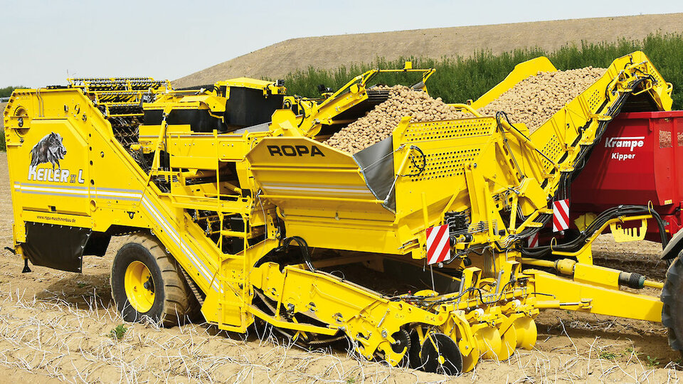 Keiler 2 - Maschine des Jahres 2019