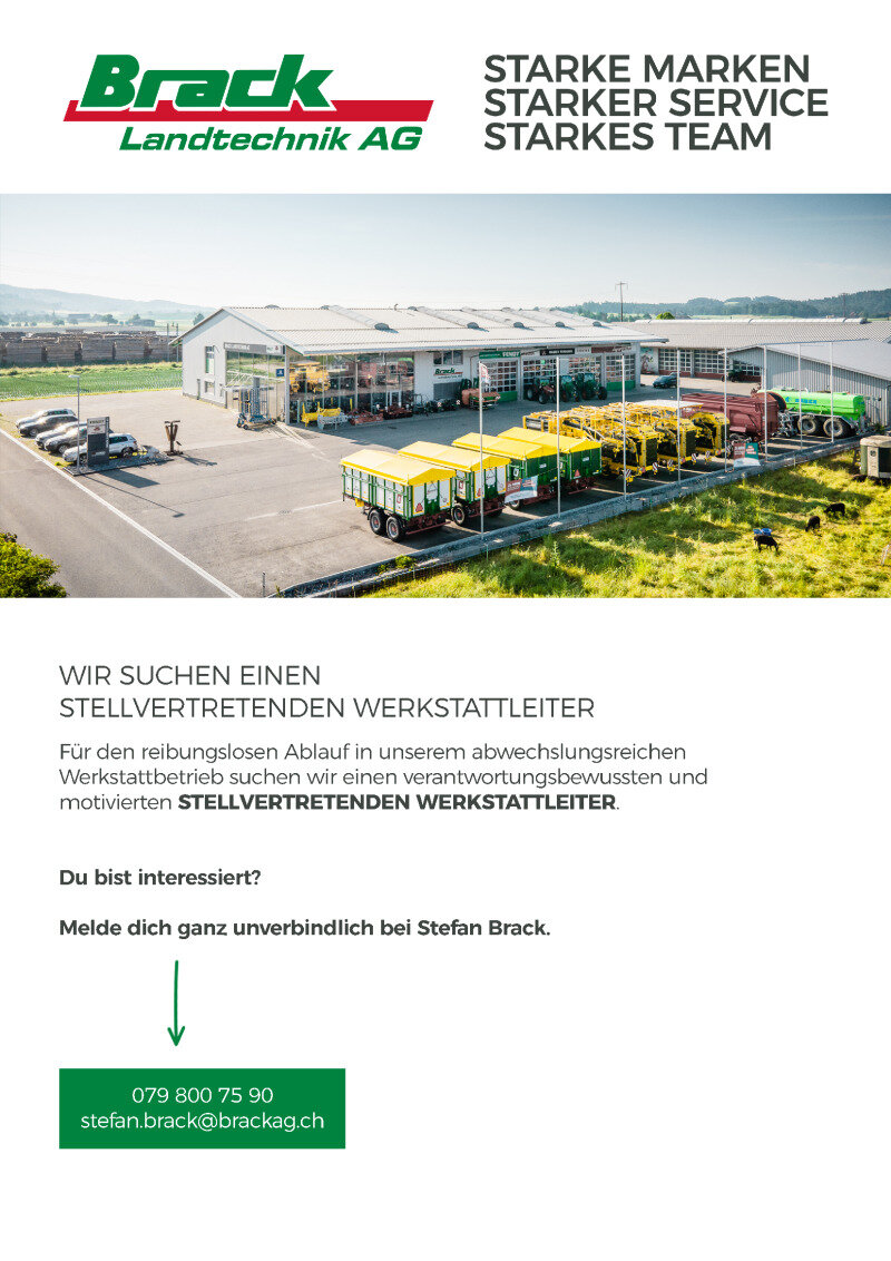 PDF-Link